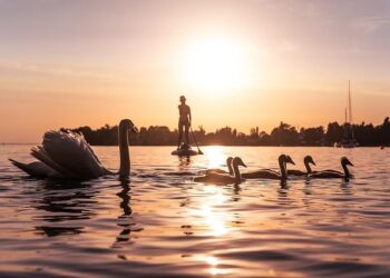 Lake Oswego event to raise awareness so Zambians can easily access clean water – lakeoswegoreview.com