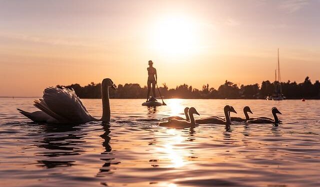 Lake Oswego event to raise awareness so Zambians can easily access clean water – lakeoswegoreview.com