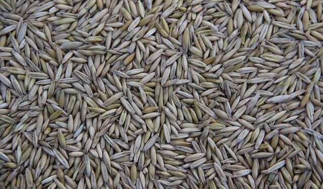 Seized ship smuggling stolen Ukrainian grain from Crimea sailed under Tanzanian flag – social media – Ukrinform