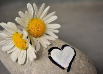 US-Kenya partnership fortified through joint engineering efforts at Camp Simba > Air Force > Article Display – af.mil