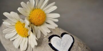 US-Kenya partnership fortified through joint engineering efforts at Camp Simba > Air Force > Article Display – af.mil