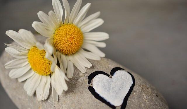 US-Kenya partnership fortified through joint engineering efforts at Camp Simba > Air Force > Article Display – af.mil