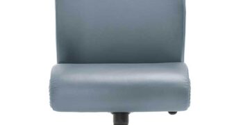 Forum Chair meets UN Secretary-General – Matangi Tonga