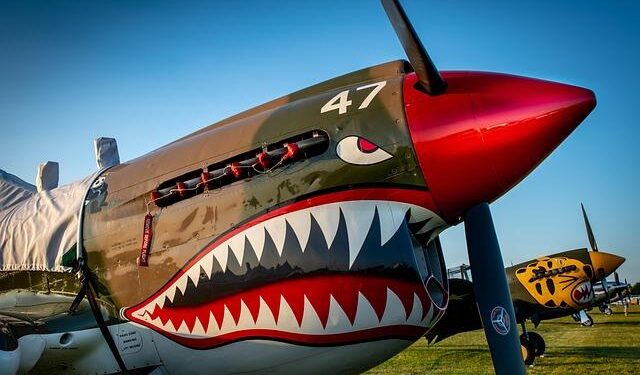 Unexploded WWII bombs plague Palau amid US military build-up – Radio Free Asia