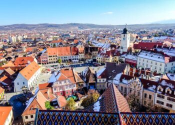 INTERVIEW – Romania’s Amsimcel seeks 6 mln euro in seed funding – SeeNews