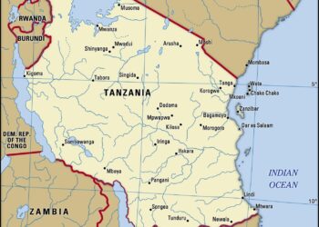 Tanzania Earmarks $463M For Climate Action Amid Carbon Trading Challenges – Carbon Herald