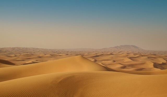 UAE Says It Foiled Bid to Transfer Weapons to Sudan’s Army – Bloomberg.com