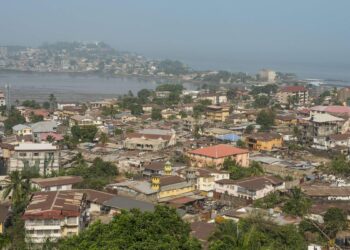 Sierra Leone: Toxic components of deadly ‘Kush’ drug finally identified – France 24