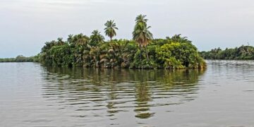 In The Gambia, Activists and Civil Society Win a Victory for Women and Girls – Freedom House