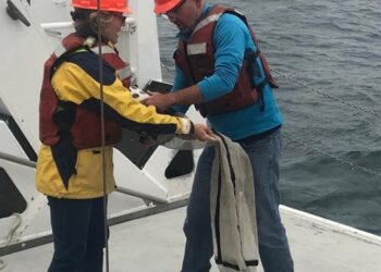 Midwater expedition with ROVs launched in American Samoa – WorkBoat