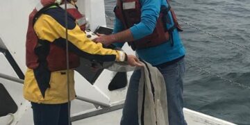 Midwater expedition with ROVs launched in American Samoa – WorkBoat