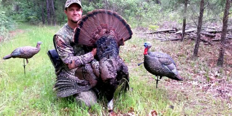 Strong Turkey Season Start Highlights NWTF Efforts – wahpetondailynews.com