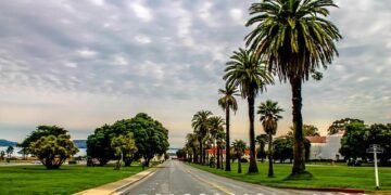 Daily Memo: SAF Initiatives Are Ramping Up Across Asia – Aviation Week