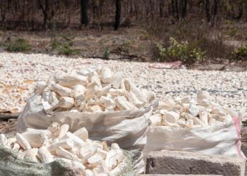 Zambia Extends Emergency Power Tariffs as Low Dam Levels Persist – Bloomberg.com