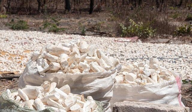 Zambia Extends Emergency Power Tariffs as Low Dam Levels Persist – Bloomberg.com