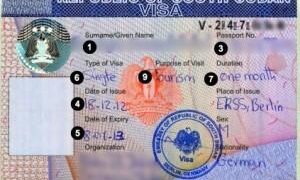 US revokes all South Sudan visas over failure to repatriate citizens – Reuters