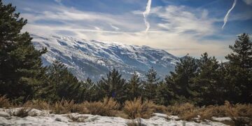 Sierra Leone: Unlocking West Africa’s Investment Potential – Forbes Africa
