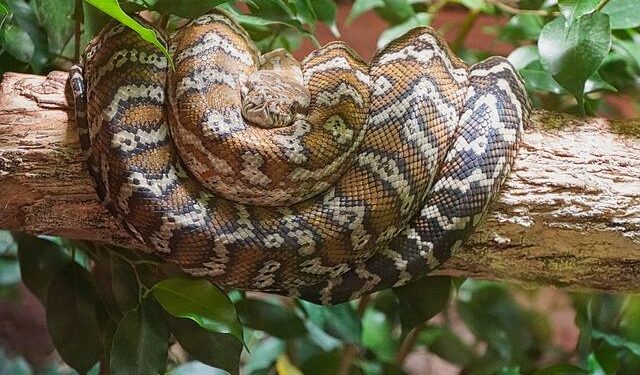 Review: I experienced five star luxury on Boa Vista in Cape Verde – NationalWorld