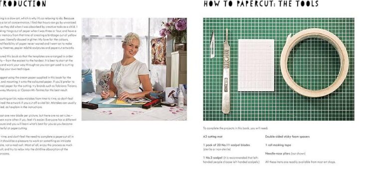 News – U.S. INDOPACOM representatives, Federated States of Micronesia hold virtual Joint Committee Meeting in wake of Tropical Storm Man-yi – DVIDS