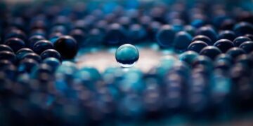 Using Science, Technology, and Innovation to deliver results for Eritrea – UN Technology Bank’s Visit to Eritrea – Welcome to the United Nations