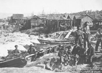 Article: Immigrants from Asia in the United States – migrationpolicy.org