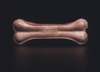 A Story of Bones review: unearthing colonial crimes | Sight and Sound – BFI