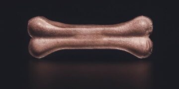 A Story of Bones review: unearthing colonial crimes | Sight and Sound – BFI