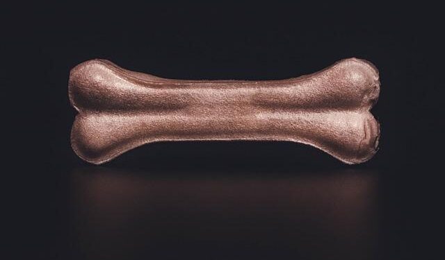 A Story of Bones review: unearthing colonial crimes | Sight and Sound – BFI