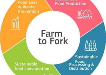 SYSALIM – Sustainable and inclusive food systems for better security food and nutrition in Mauritania – EEAS