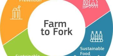 SYSALIM – Sustainable and inclusive food systems for better security food and nutrition in Mauritania – EEAS