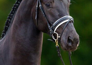 Governor, Joint Task Force-Micronesia, Joint Region Marianas Convene Civil-Military Coordination Council – DVIDS