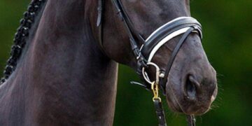 Governor, Joint Task Force-Micronesia, Joint Region Marianas Convene Civil-Military Coordination Council – DVIDS