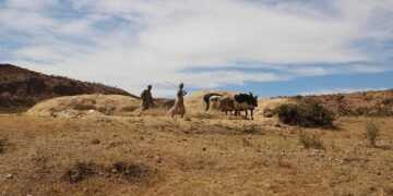 Eritrea – General Debate