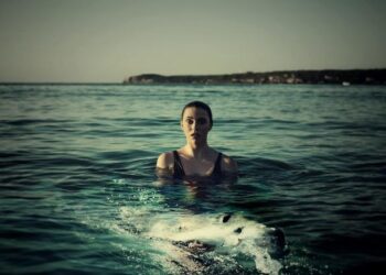 Great white shark rescued from shallow waters in Australia – NBC News