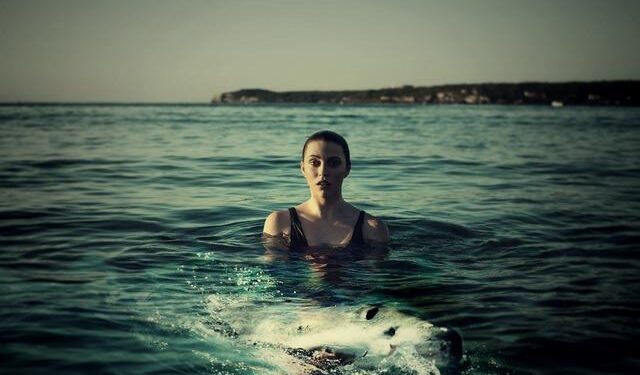 Great white shark rescued from shallow waters in Australia – NBC News