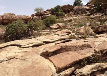 Somaliland does not rule out absorption of Gazan residents – KAN – The Jerusalem Post