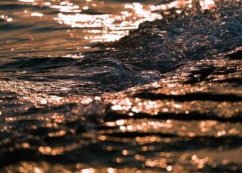 Tidal Dragon Farm in the Faroe Islands Moves Forward – renewableenergymagazine.com