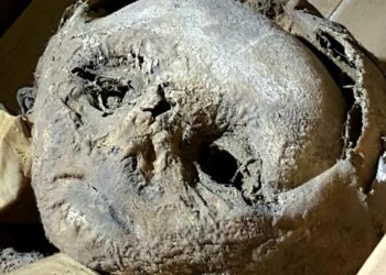 Austrian ‘mummy’ mystery resolved – C&EN