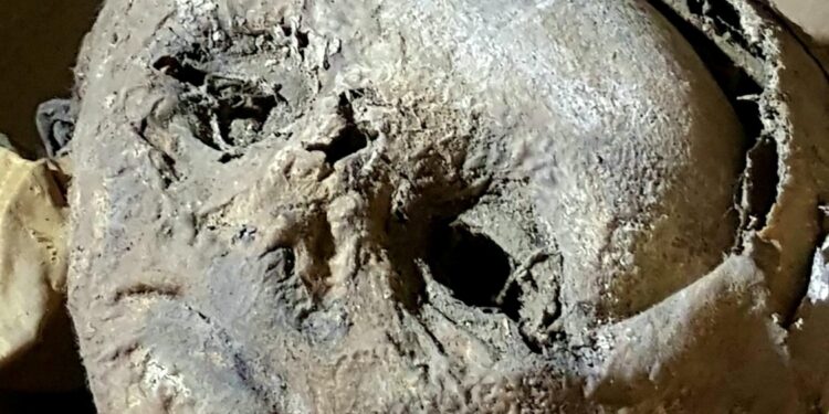 Austrian ‘mummy’ mystery resolved – C&EN