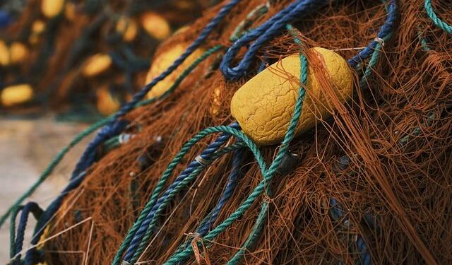 Parliament approves new fisheries protocol with Guinea-Bissau – European Interest