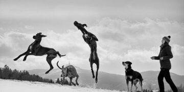 Danes put Slovenia to the sword in final test before Ice Hockey World Championships – Flashscore.com