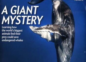 American science brain drain : The Indicator from Planet Money – NPR