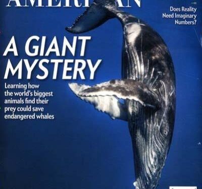 American science brain drain : The Indicator from Planet Money – NPR