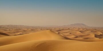 UAE’s hosting of Gate of Sudan festival highlights strong bilateral ties: Nahyan bin Mubarak – MSN