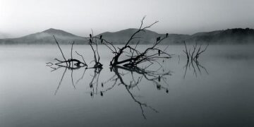 South Africa to probe alleged suppression of justice in apartheid-era killings – Reuters