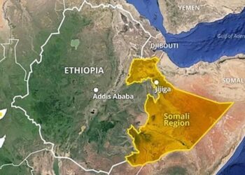 Ethiopia-Somalia Tensions: Power Dynamics and Extra-Regional Actors in the Red Sea Region – E-International Relations