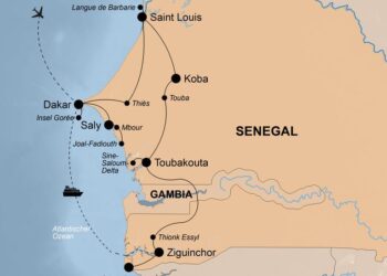 Senegal counts votes as new leaders eye parliamentary win – VOA – Voice of America English News