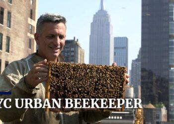 New York beekeeper accused of concealing role in Rwanda genocide – The Guardian