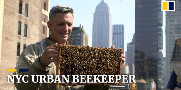 New York beekeeper accused of concealing role in Rwanda genocide – The Guardian