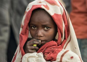 Madagascar risk losing 60,000 jobs in Trump’s tariffs – The Independent